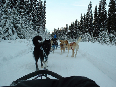 Dog Sled Ride 9.JPG